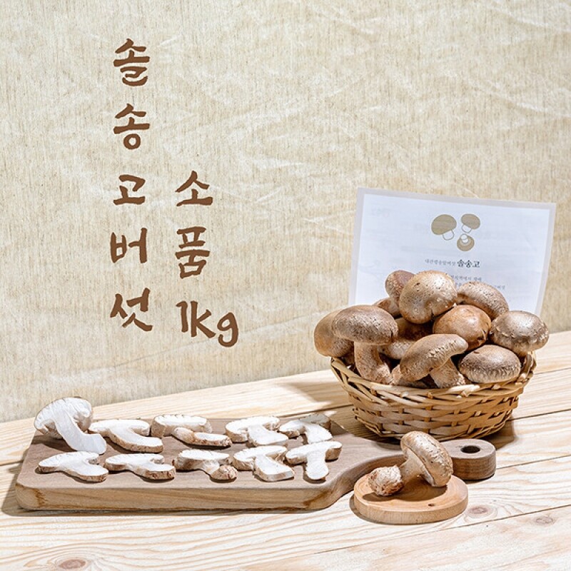강원더몰,솔송고 무농약 쫄깃한 송이향 표고버섯 친환경 1Kg중품
