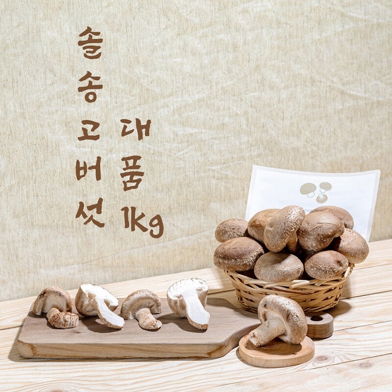 강원더몰,솔송고 무농약 쫄깃한 송이향 표고버섯 친환경 1Kg중품