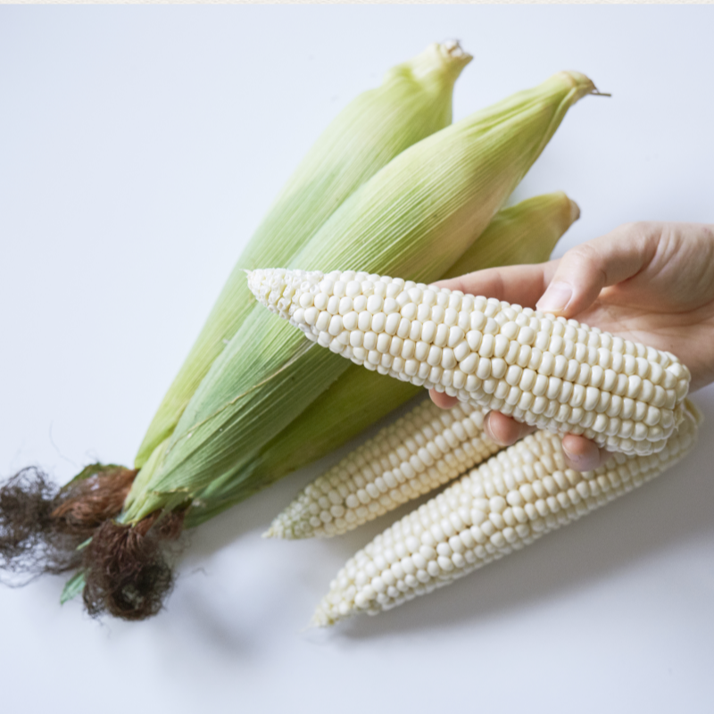 강원더몰,[7월 예약]장작골 청정 강릉 찰옥수수 진짜 맛있는 옥수수 30개 미백 2호 산지직송
