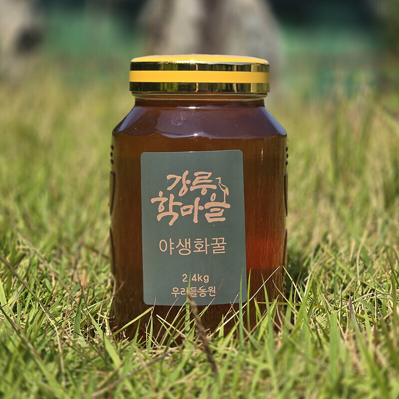 강원더몰,우리들 천연 야생화꿀 2.4kg 100% 자연꿀 천연꿀 잡화꿀 산지직송
