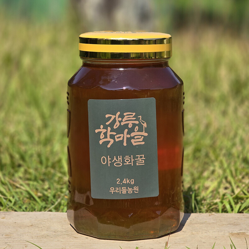 강원더몰,우리들 천연 야생화꿀 2.4kg 100% 자연꿀 천연꿀 잡화꿀 산지직송