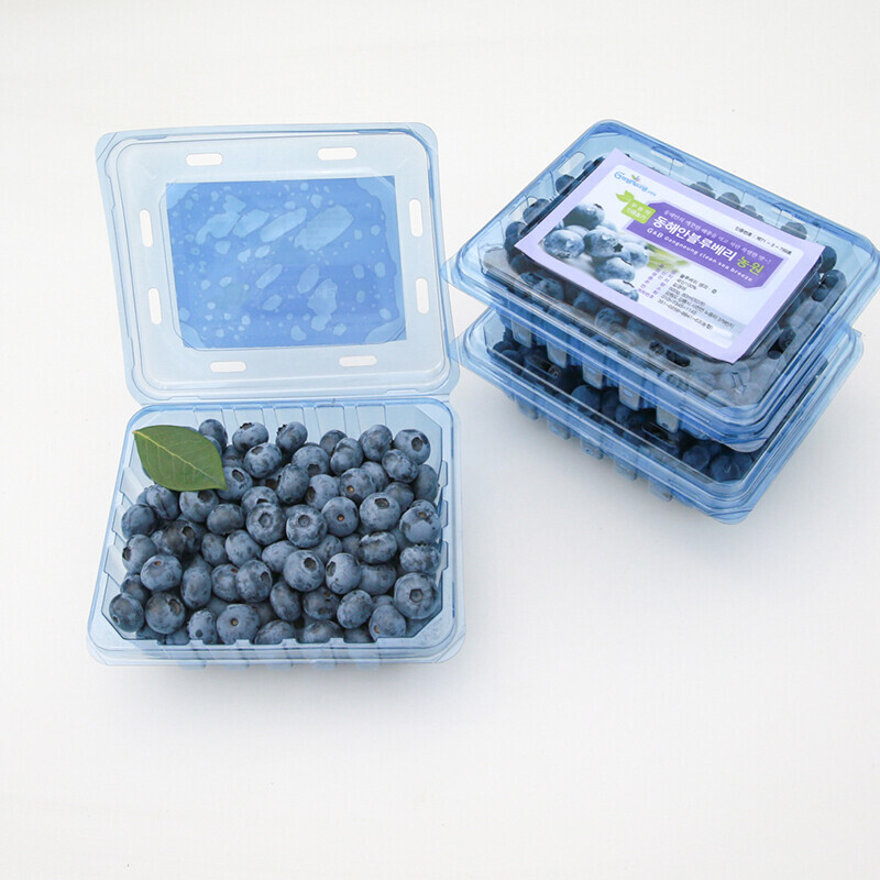 강원더몰,동해안블루베리 고당도 친환경 무농약 탱글탱글 블루베리 생과 2kg ( 500g 4pack)
