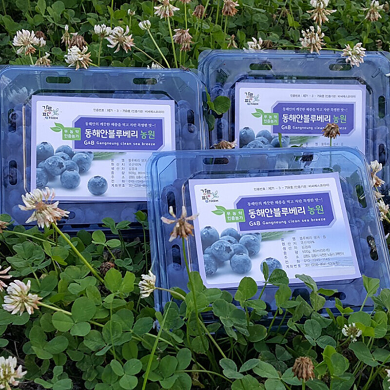 강원더몰,동해안블루베리 고당도 친환경 무농약 탱글탱글 블루베리 생과 2kg ( 500g 4pack)