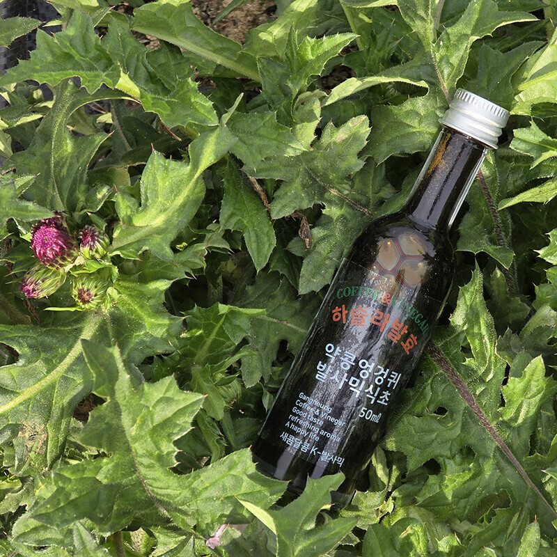 강원더몰,약콩엉겅퀴 발사믹식초 100ml 밀크시슬 전통 자연 발효 비니거
