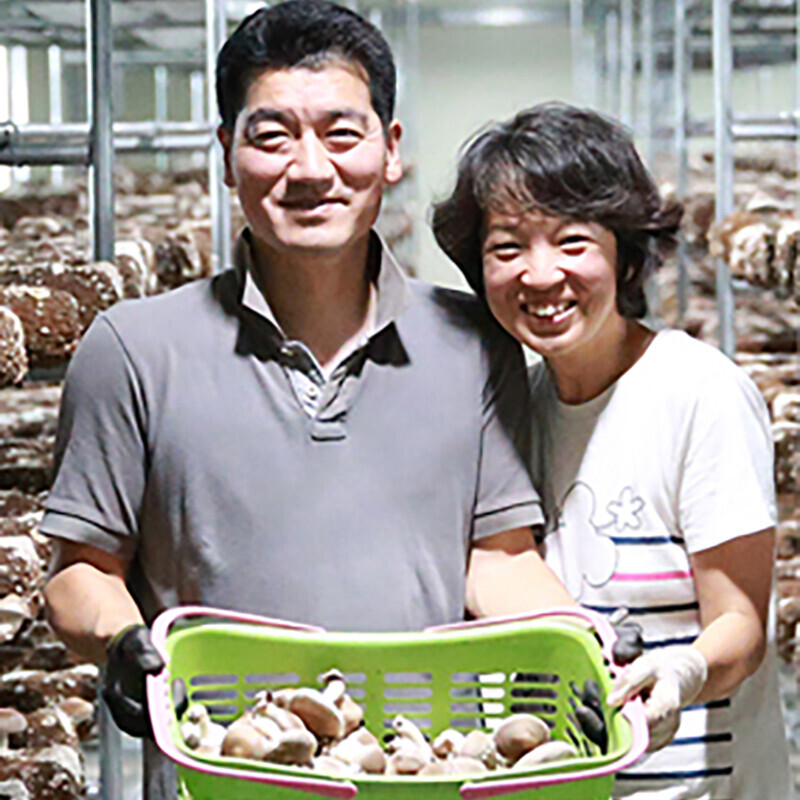 강원더몰,광표고 생표고버섯 무농약 친환경 신선한 표고버섯 1Kg 특품