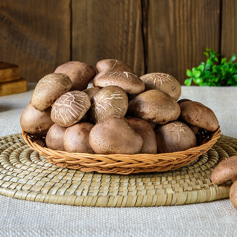 강원더몰,광표고 말린 표고버섯 무농약 친환경 건표고버섯 180g 상품 * 3개