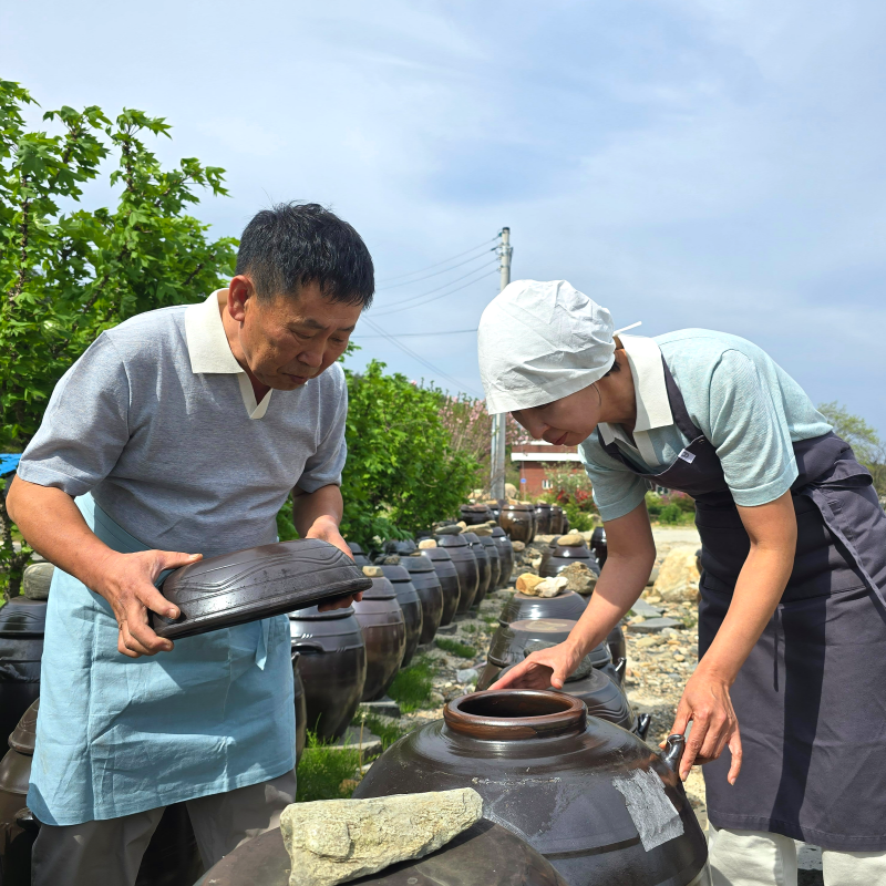 강원더몰,하슬라 자연발효 식초 흑초 500ml 4종 감식초 약콩엉겅퀴 초란 산사보리